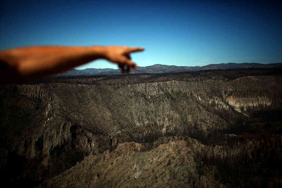 Craig Allen, a research ecologist with the United States Geological Survey, points to the devastation in Bandelier's Cochiti Canyon, which was burned by the Las Conchas fire. According to Allen, these megafires are "the new normal."