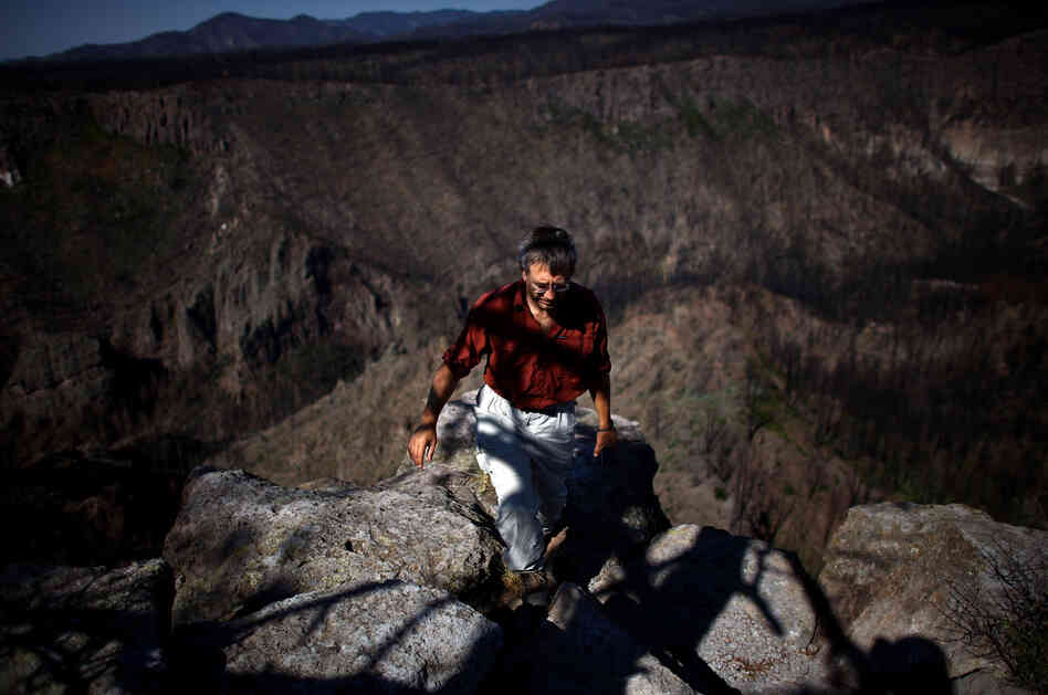 Craig Allen, a research ecologist with the U.S. Geological Survey, walks up a bluff overlooking Cochiti Canyon, which was destroyed by last year's Las Conchas megafire.