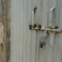 In the Islamabad slum where a Christian girl is accused of burning some Muslim verses, the gate to her family's home is locked and the people who live there have fled. In the Islamabad slum where a Christian girl is accused of burning some Muslim verses, the gate to her family's home is locked and the people who live there have fled.