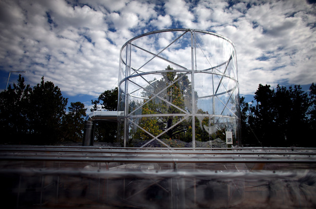 A tree stands surrounded by a chamber that keeps the temperature about 7 degrees warmer than the outside air. Scientists say the cycle of heat and drought in the region has intensified because of a warming climate.