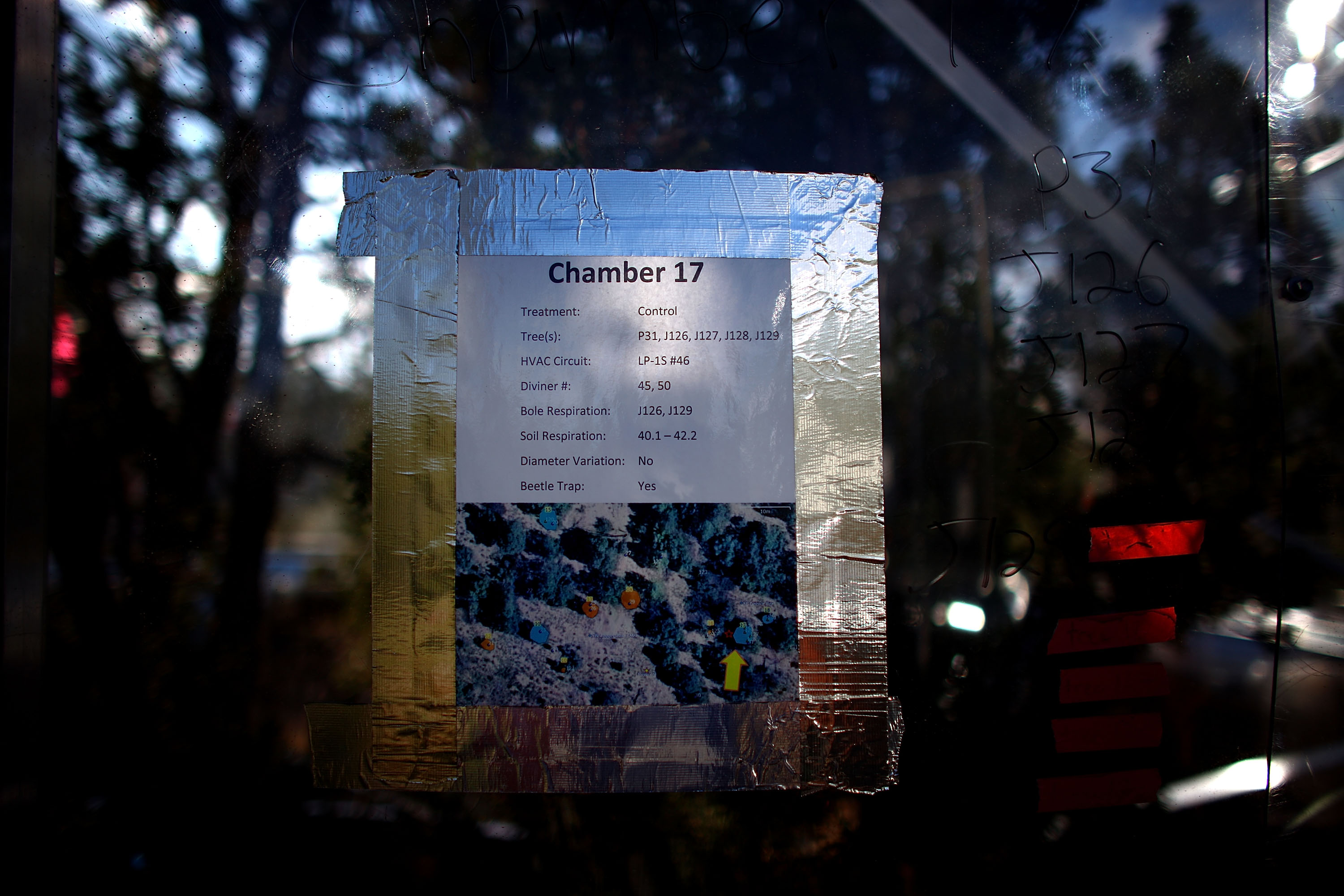 A sign outside a tree chamber
