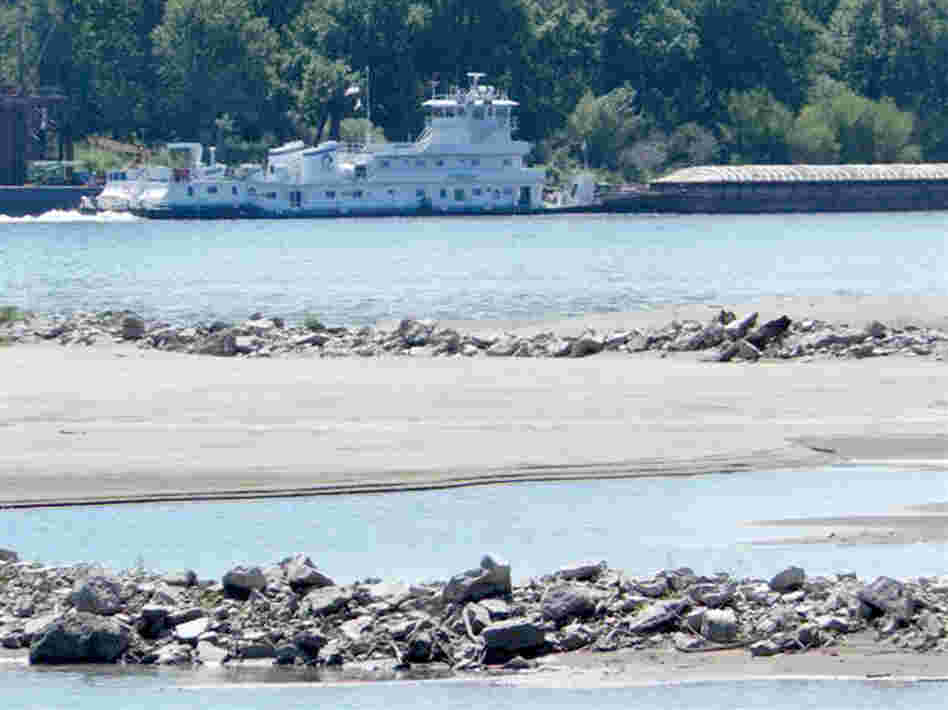 A tow pushes a barge past a sandbar on the Mississippi River near the confluence with the Missouri River north of St. Louis., on Friday. Many sandbars normally under water on the two rivers are now exposed as the drought has caused river levels to drop.