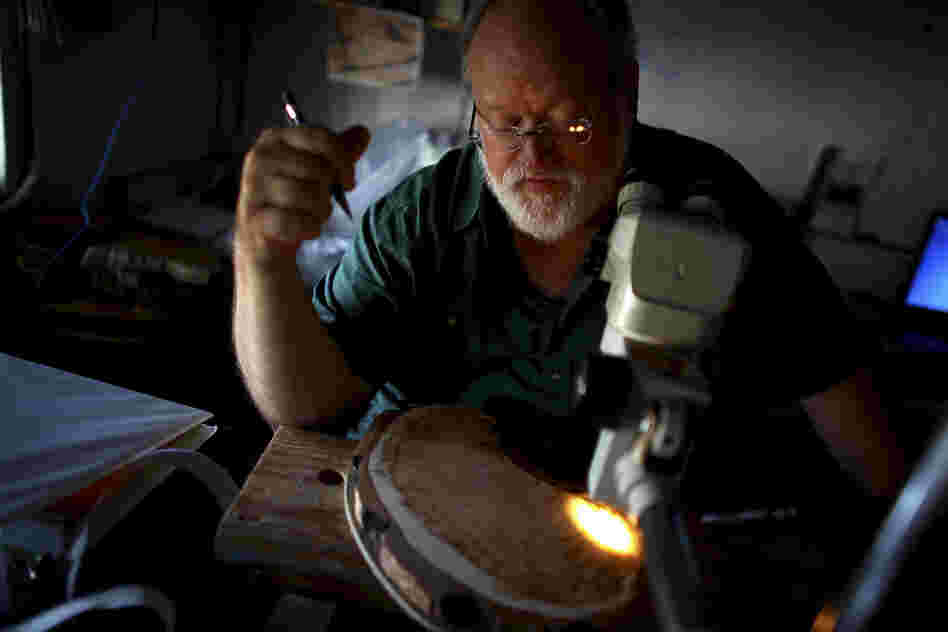 University of Arizona professor Tom Swetnam examines a tree sample at the Laboratory of Tree-Ring Research in Tucson, Ariz. Swetnam's research focuses on understanding how forest fires are influenced by climate change.