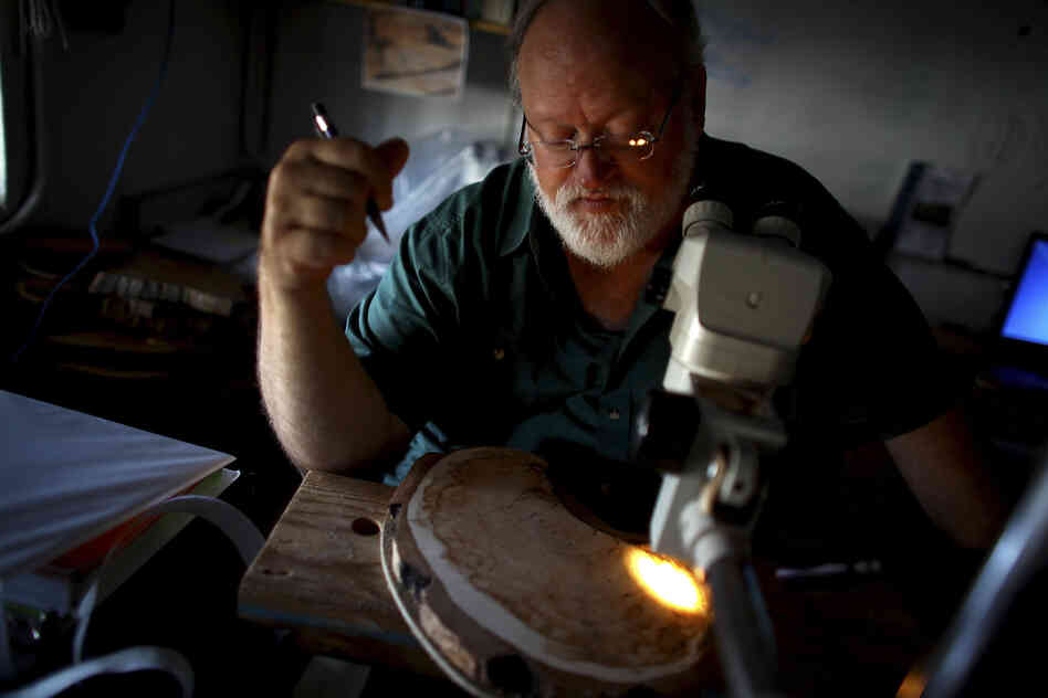 University of Arizona professor Tom Swetnam examines a tree sample at the Laboratory of Tree-Ring Research in Tucson, Ariz. Swetnam's research focuses on understanding how forest fires are influenced by climate change.