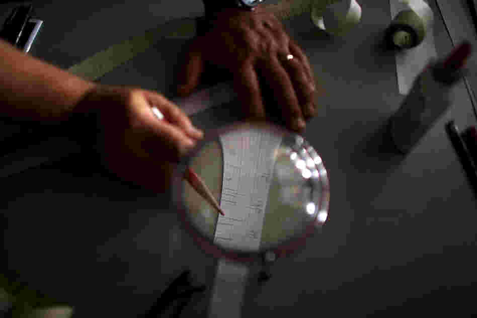 By cross-dating different tree-ring samples from a given area, researchers can get a clearer picture of how a forest burns.