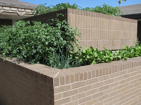An urban garden at City Hall. An urban garden at City Hall.
