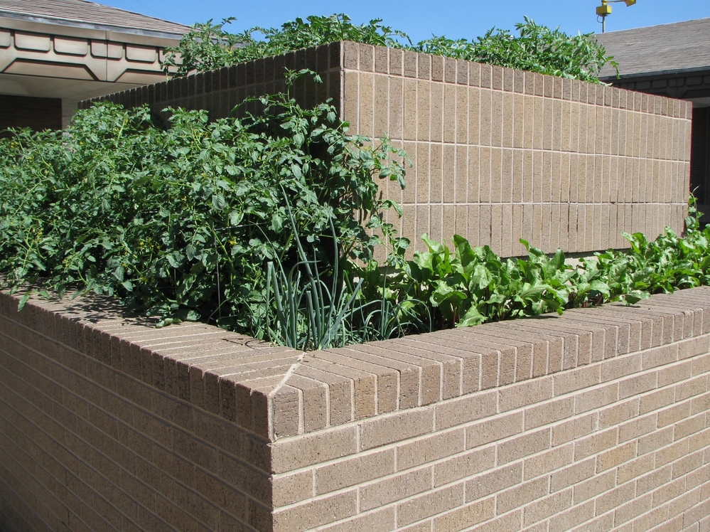 An urban garden at City Hall.