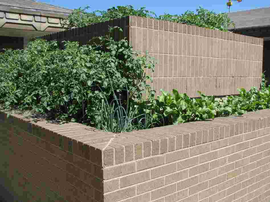 An urban garden at City Hall.