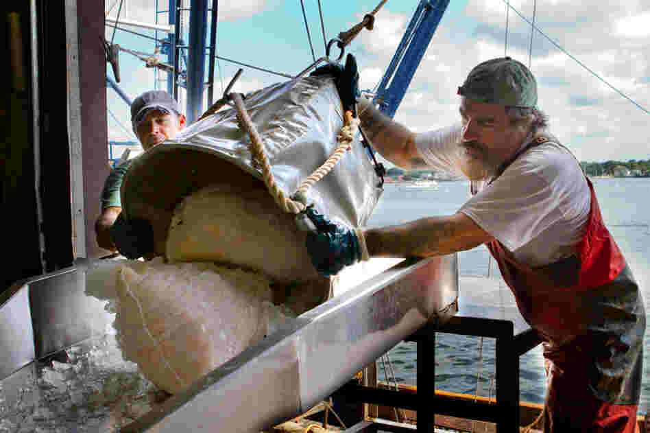 Crew members from the Paul + Michelle unload 60-pound bags of Atlantic scallops after a fishing trip.