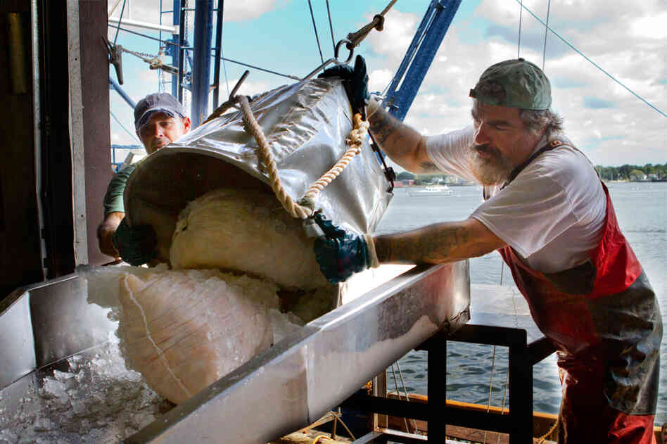 Crew members from the Paul + Michelle unload 60-pound bags of Atlantic scallops after a fishing trip.