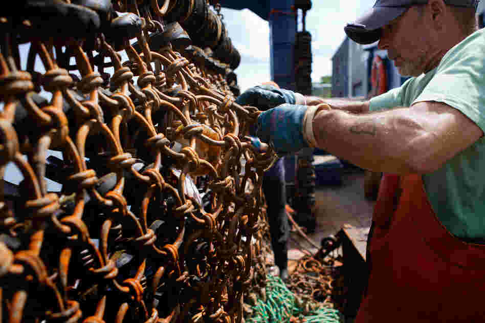 A fisherman on the Paul + Michelle cleans the scalloper's dredges in New Bedford, Mass. Scalloping is an especially dangerous fishery because the heavy overhead equipment can knock people overboard into frigid waters.