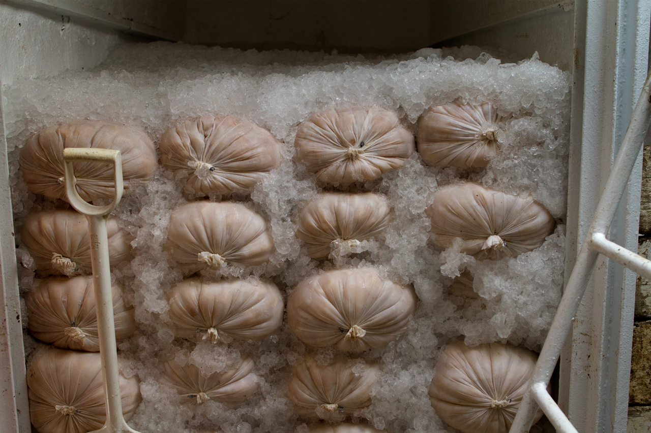 Bags of Atlantic scallops stacked in the boat's hold. The eight-day voyage yielded a catch worth more than $250,000.