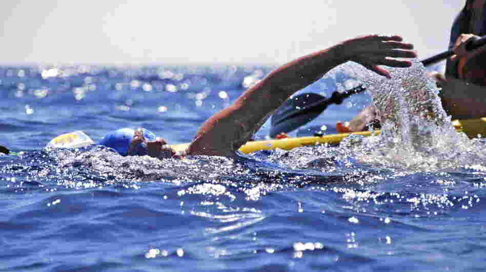 Diana Nyad in the Florida Straits on Monday.
