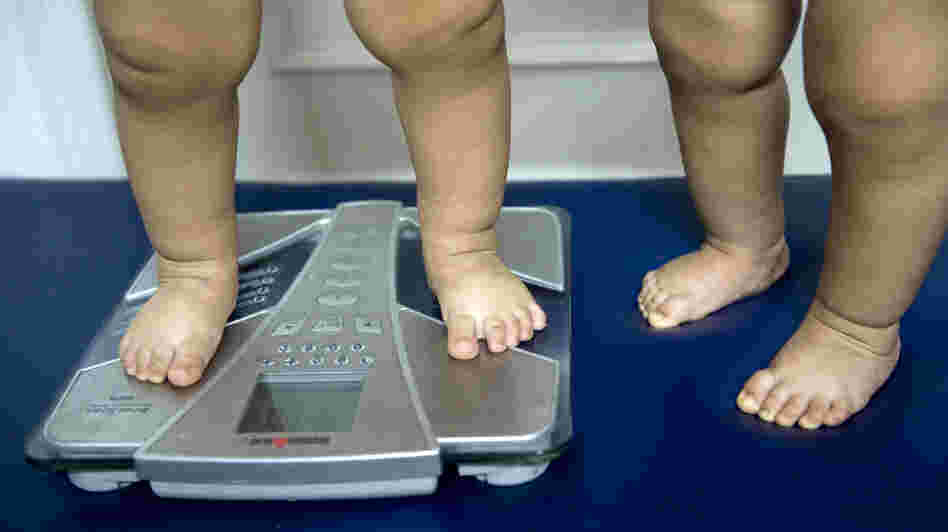 Childhood obesity is on the rise in many countries and overuse of antibiotics is now on the radar as a possible factor in the epidemic. Here 18-month-old twins are weighed in a nutritionist's office in Colombia.