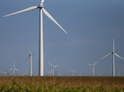 Windmills in a corn field in Colo, Iowa. Windmills in a corn field in Colo, Iowa.