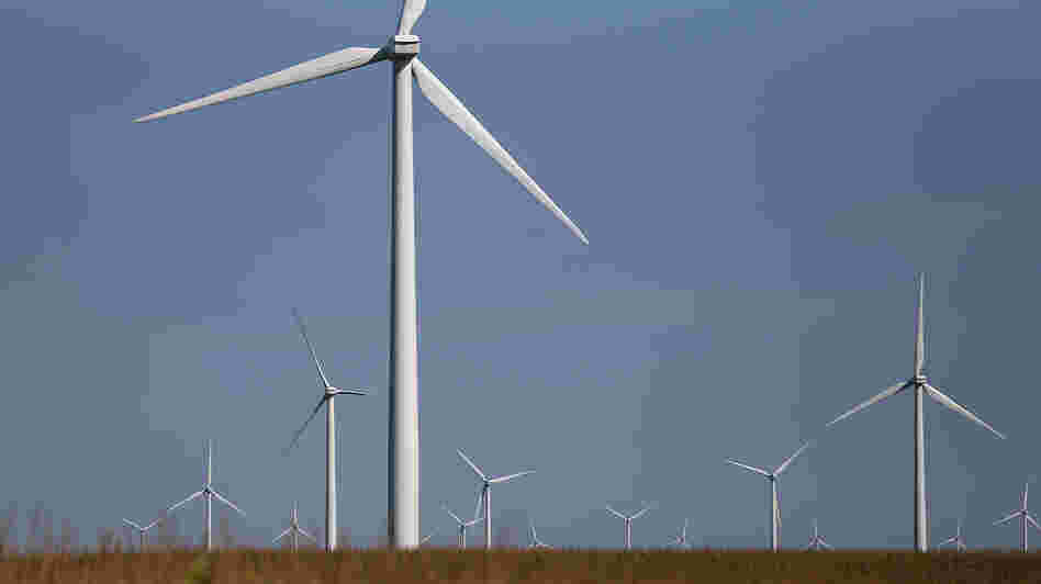 Windmills in a corn field in Colo, Iowa.