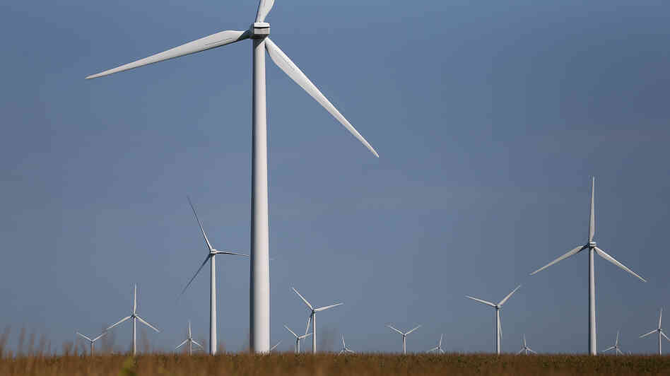 Windmills in a corn field in Colo, Iowa.