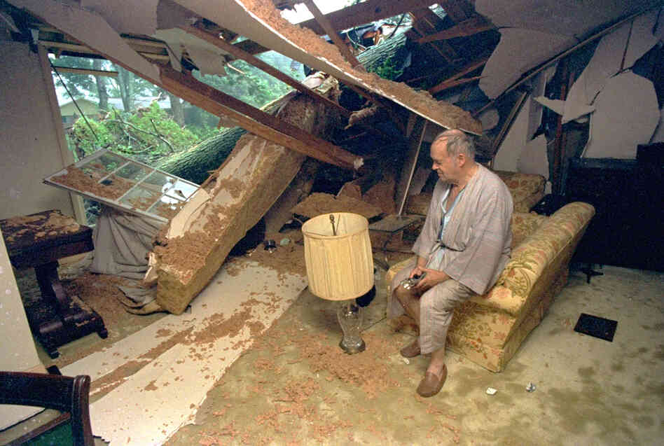Ted Allis sits in the remains of his living room in Lafayette, La., after high winds from Hurricane Andrew knocked a tree into his home. No one was injured in the incident.