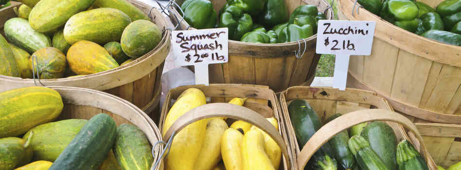 squash! squash!
