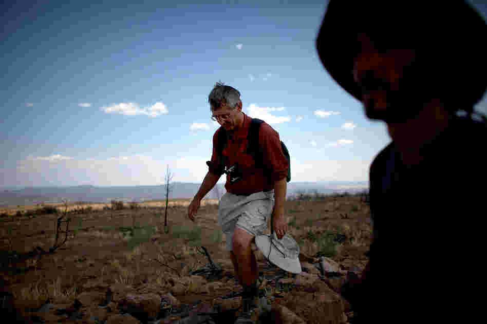 Craig Allen, left, a research ecologist with the U.S. Geological Survey, and Jorge Castro, a visiting professor of ecology from Spain, survey a plateau ravaged during last year's Las Conchas fire in New Mexico. The megafire burned over 150,000 acres of forest.