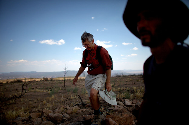 Craig Allen, left, a research ecologist with the U.S. Geological Survey, and Jorge Castro, a visiting professor of ecology from Spain, survey a plateau ravaged during last year's Las Conchas fire in New Mexico. The megafire burned over 150,000 acres of forest.