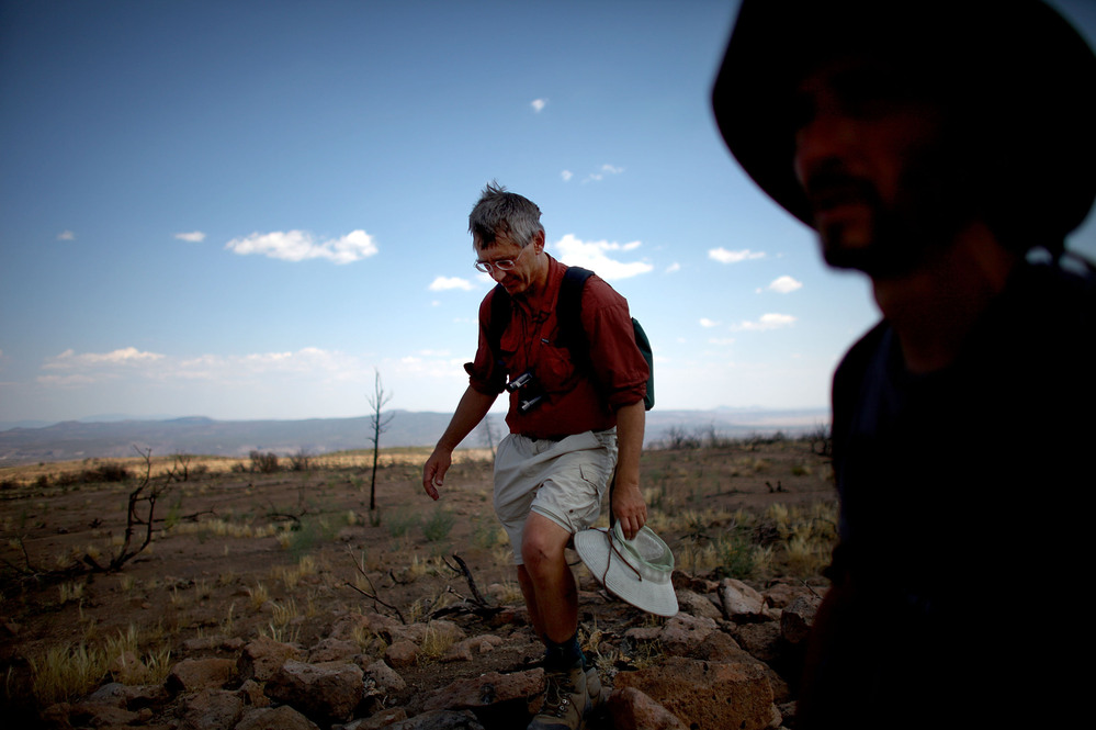 Craig Allen, left, a research ecologist with the U.S. Geological Survey, and Jorge Castro, a visiting professor of ecology from Spain, survey a plateau ravaged during last year's Las Conchas fire in New Mexico. The megafire burned over 150,000 acres of forest.