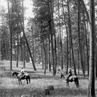 1909. Facing nearly due west from ridge northeast of Como Lake. Light selection cut in open ponderosa pine. Ground cover is comprised of perennial grasses and forbs, including basalmroot. A few low-growing bitterbrush plants can be seen in the vicinity of horses and in distance on left. A group of willows can be seen behind horsemen at left center.