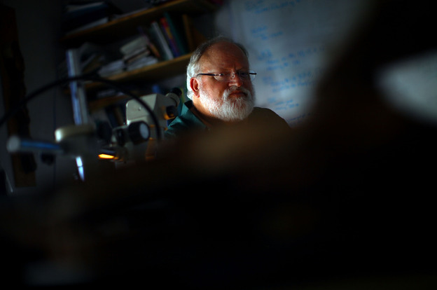 University of Arizona professor Tom Swetnam examines tree samples at the Laboratory of Tree-Ring Research in Tucson, Ariz. Swetnam says forests are burning hotter because they are overgrown.