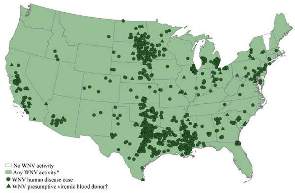 A map that shows where West Nile cases have been reported. Note that areas shaded white have seen no virus activity.