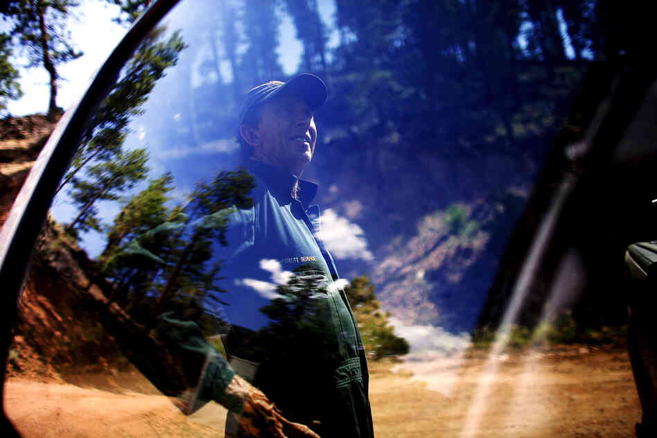 Bill Armstrong, fire manager for the Santa Fe National Forest in New Mexico, is a firm believer in thinning forests and returning them to a natural burn cycle to avoid megafires.