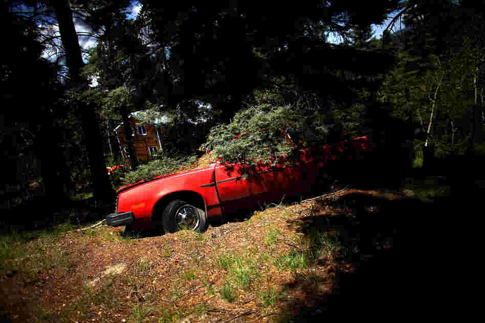 The Forest Service is also trying to get people who live in the Jemez Mountains area to thin and maintain the forests around their homes.