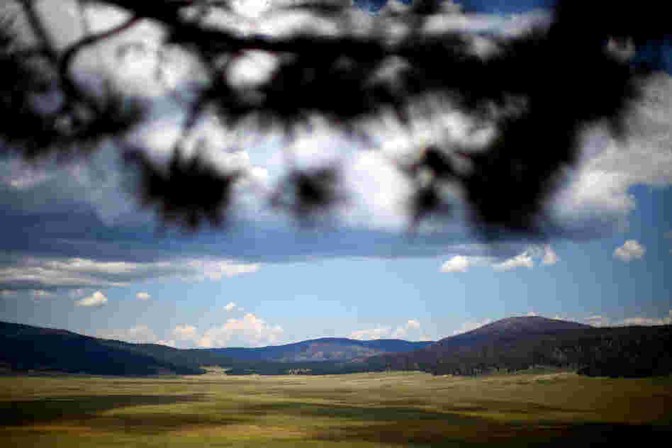 A view of the Valles Caldera. The valley served as a high-mountain pasture for ranchers for years. In the distance you can see the Santa Fe National Forest, which burned during the 2011 Las Conchas fire.