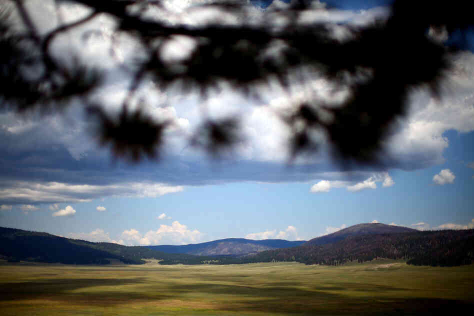 A view of the Valles Caldera. The valley served as a high-mountain pasture for ranchers for years. In the distance you can see the Santa Fe National Forest, which burned during the 2011 Las Conchas fire.