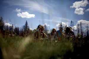 A year after the Wallow Fire, students chart every square inch of an open meadow in an area where the fire raged.