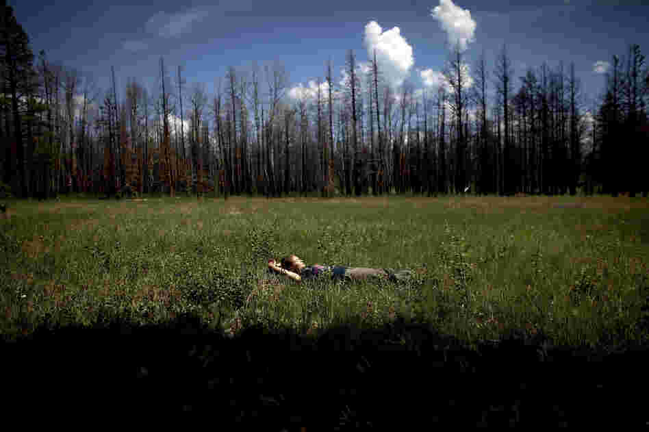 Madison Daniels, a student at Northern Arizona University, takes a short break from gathering data in a meadow in Apache-Sitgreaves. Both students and faculty live in the forest for weeks while they conduct their ecological research.