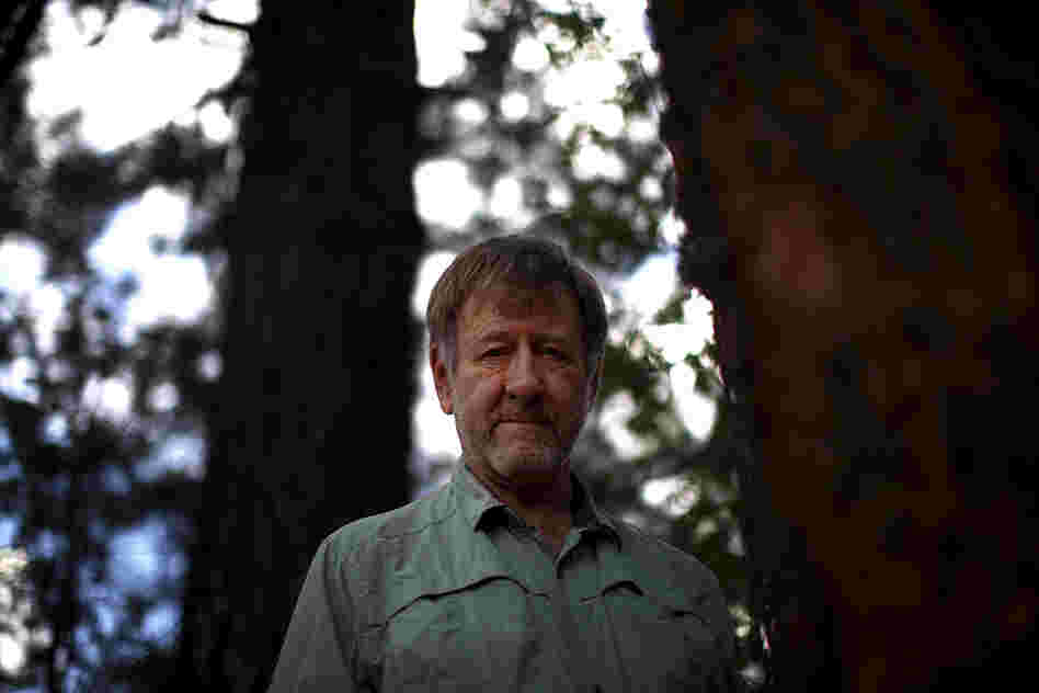 Wally Covington is director of the Ecological Restoration Institute at Northern Arizona University in Flagstaff. He helped create the 4FRI project, whose goal is to restore the natural Ponderosa pine forest.