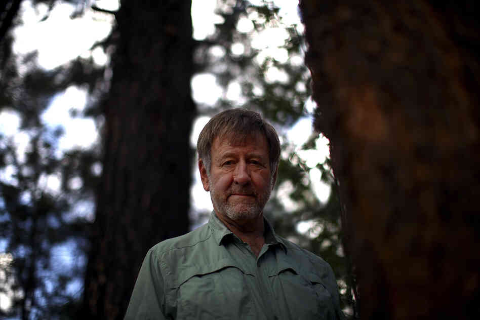 Wally Covington is director of the Ecological Restoration Institute at Northern Arizona University in Flagstaff. He helped create the 4FRI project, whose goal is to restore the natural Ponderosa pine forest.
