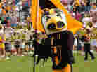 Herky the Hawk