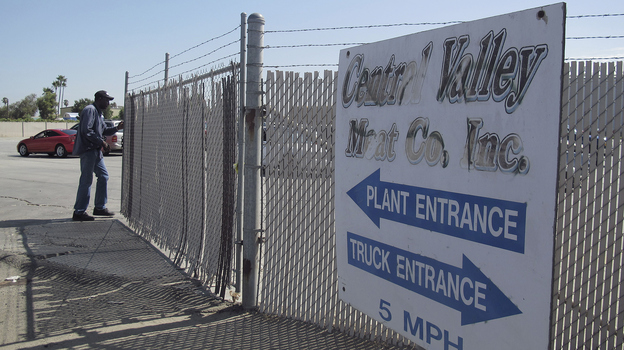 A security guard opens the gate at the Central Valley Meat Co., the California slaughterhouse recently shut down by federal regulators after they received a graphic video of cows being mistreated.