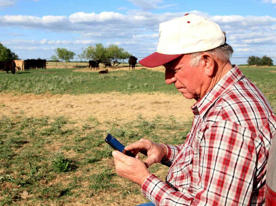 The information farmers are getting from Twitter can help them decide how and when to market their grain.