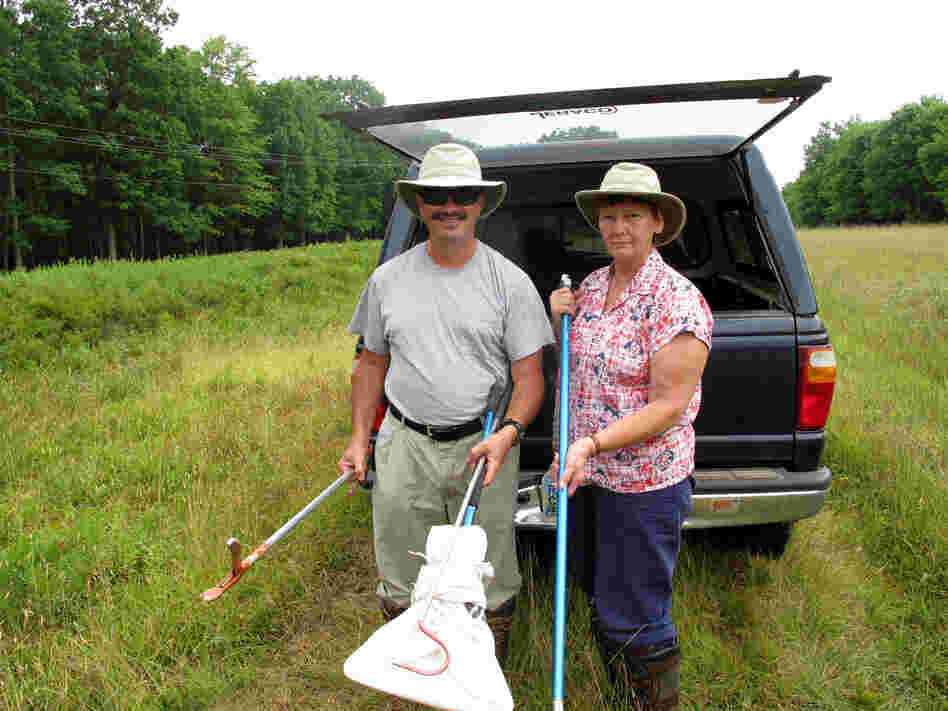 When they married, Matt and Paula Wilson weren't aware that they shared a passion for snakes.