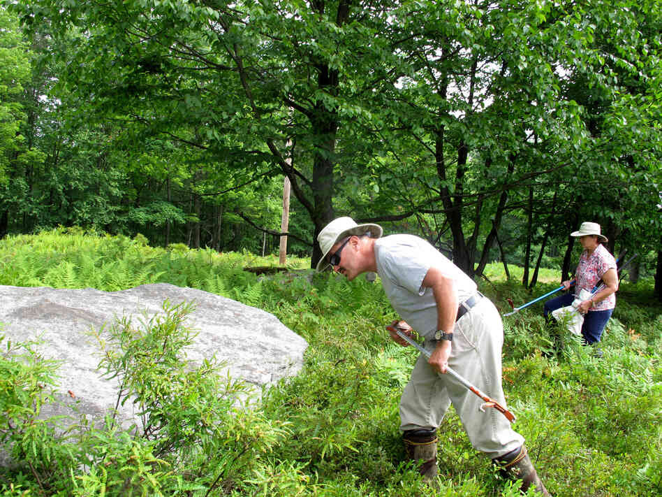The Wilsons walk through a field in northeast Pennsylvania, looking for timber rattlers and other snakes that need to be removed.