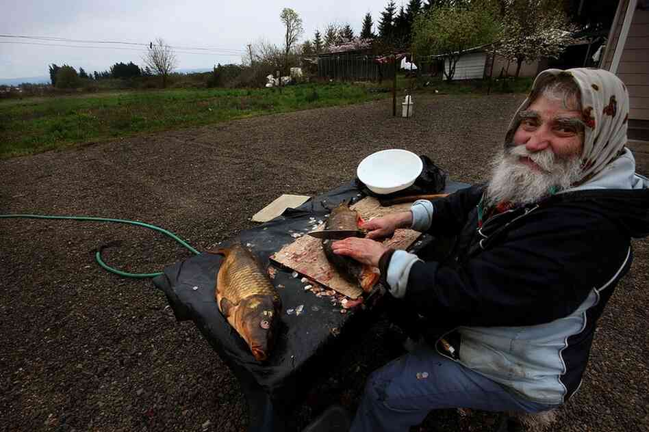 Watching his father Woodburn's Fiopent Boru gut two large Idaho trout, Samuel Boru talks about all the different ways they will be using the fish meat. "We dry it out for jerky, use it for a shake and bake (replacing the traditional chicken with trout), we can even use the head for soup."