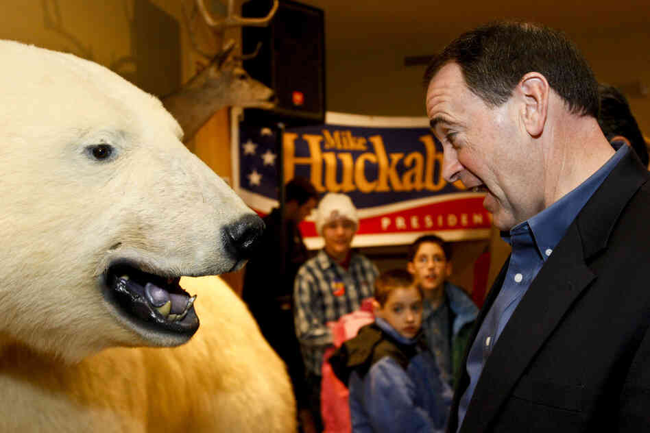 When Mike Huckabee was on the trail in Osceola, Iowa, in 2007, the one-time Republican presidential hopeful got up close to a taxidermied polar bear.