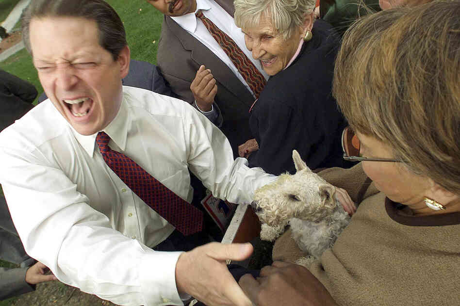 When Vice President Al Gore, then the Democratic nominee for president, greeted a supporter with a dog outside a Missouri rally in November 2000, he asked what kind of dog it was. The owner's answer: "a Democrat."