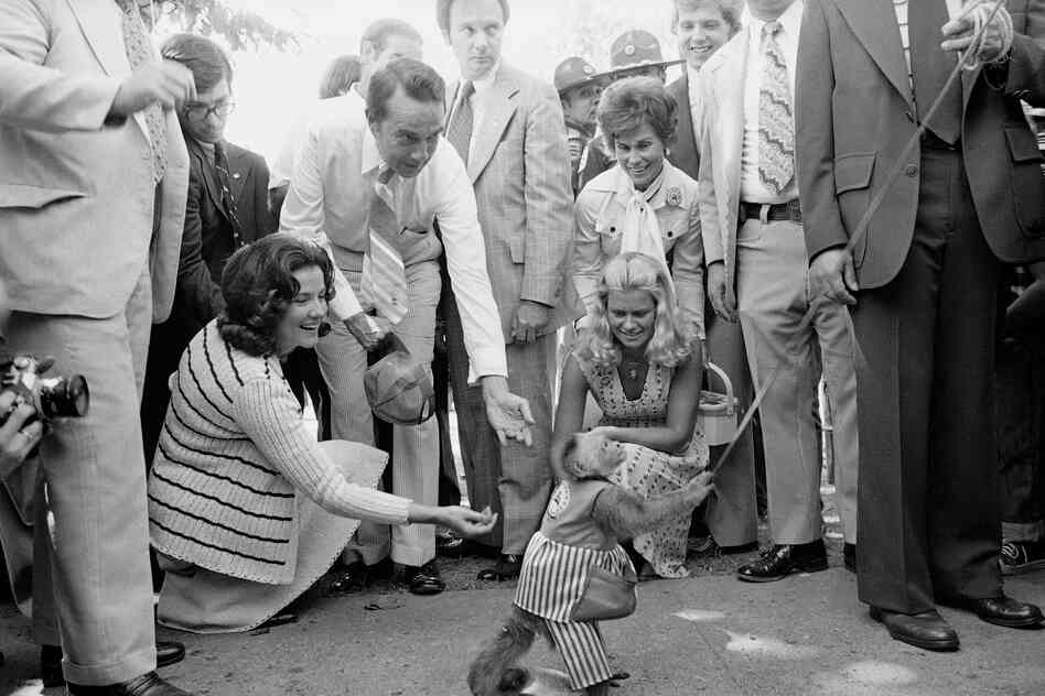 In 1976, Republican vice presidential candidate Robert Dole and his wife, Elizabeth, gave coins to an organ-grinder's monkey at the Iowa State Fair.