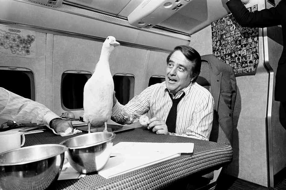 Through much of the 1972 campaign, the press corps accompanying Democratic vice presidential candidate Sargent Shriver carried around a toy rubber duck. After the duck was stolen, reporters replaced it with a live version and introduced it to the candidate.