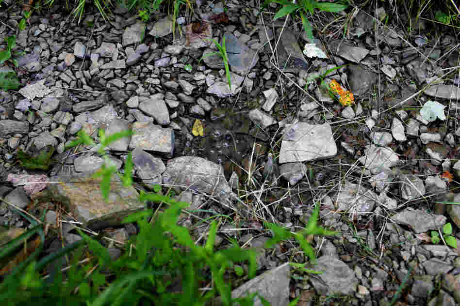 Flammable methane continues to bubble up from the ground in 15 to 20 spots on the Leightons' property.