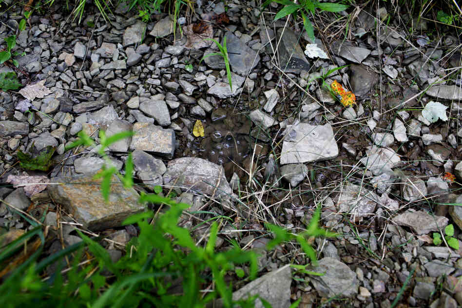 Flammable methane continues to bubble up from the ground in 15 to 20 spots on the Leightons' property.