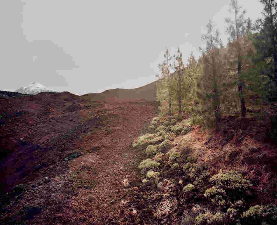 From the series In the Orbit of El Teide